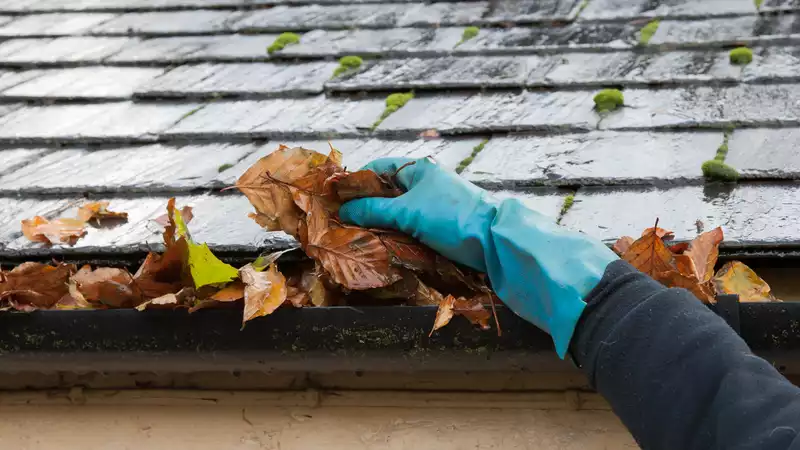 12 Tips for Getting Your Home Ready for Autumn