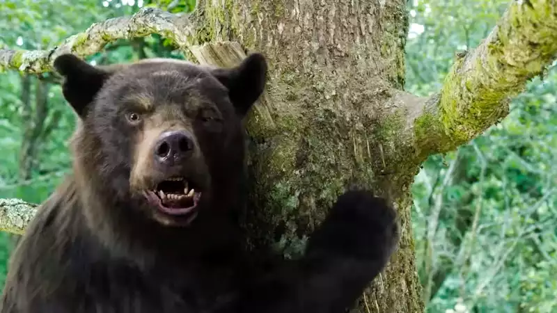 The trailer for Cocaine Bear is here - the wildest movie of 2023 is also Ray Riotta's last film