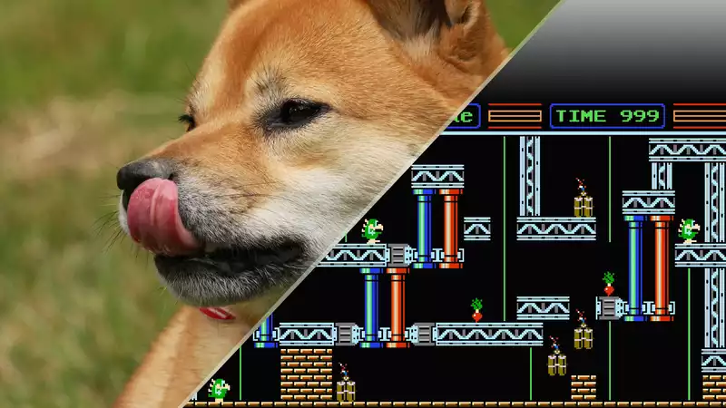 It's official - dogs are now better at video games than humans