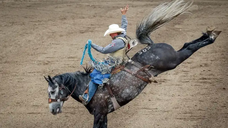 How to watch Calgary Stampede 2024 online from anywhere