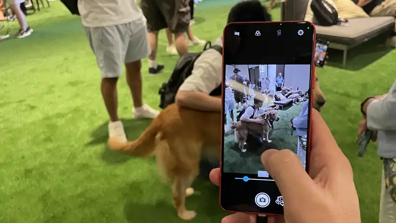 Pet photos will look better on Snapdragon 8 Elite phones.